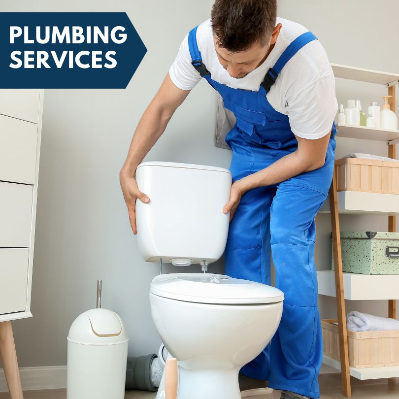 Plumbing Company in Mount Union, IA